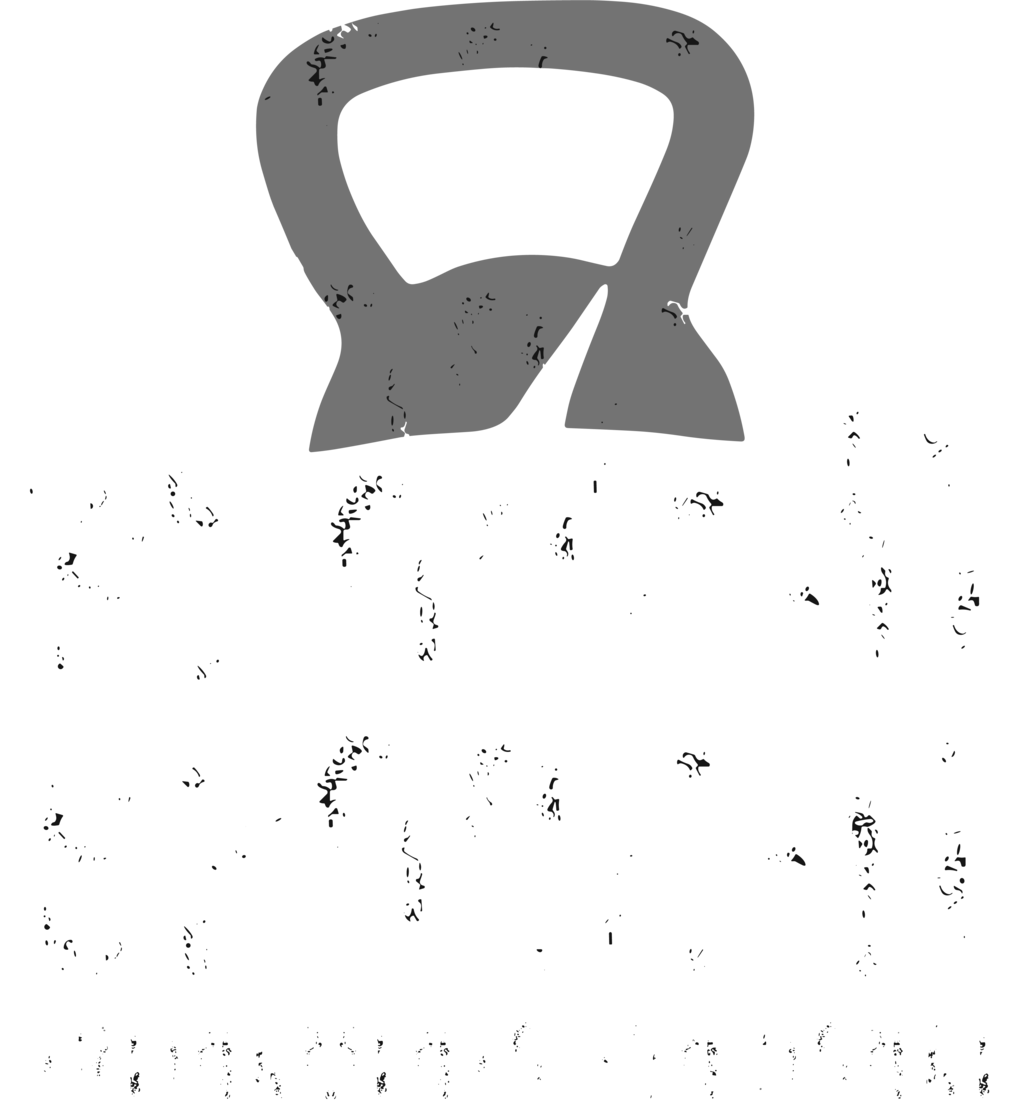 SHOKFIT